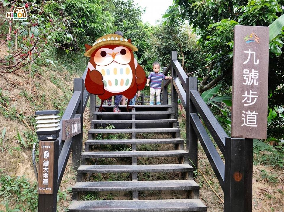 親子健行景點 大坑9號爬山步道